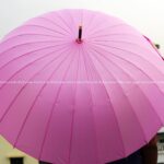 24 Ribs Umbrella - Baby Pink