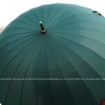 24 Ribs Umbrella - Green