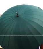 24 Ribs Umbrella - Green