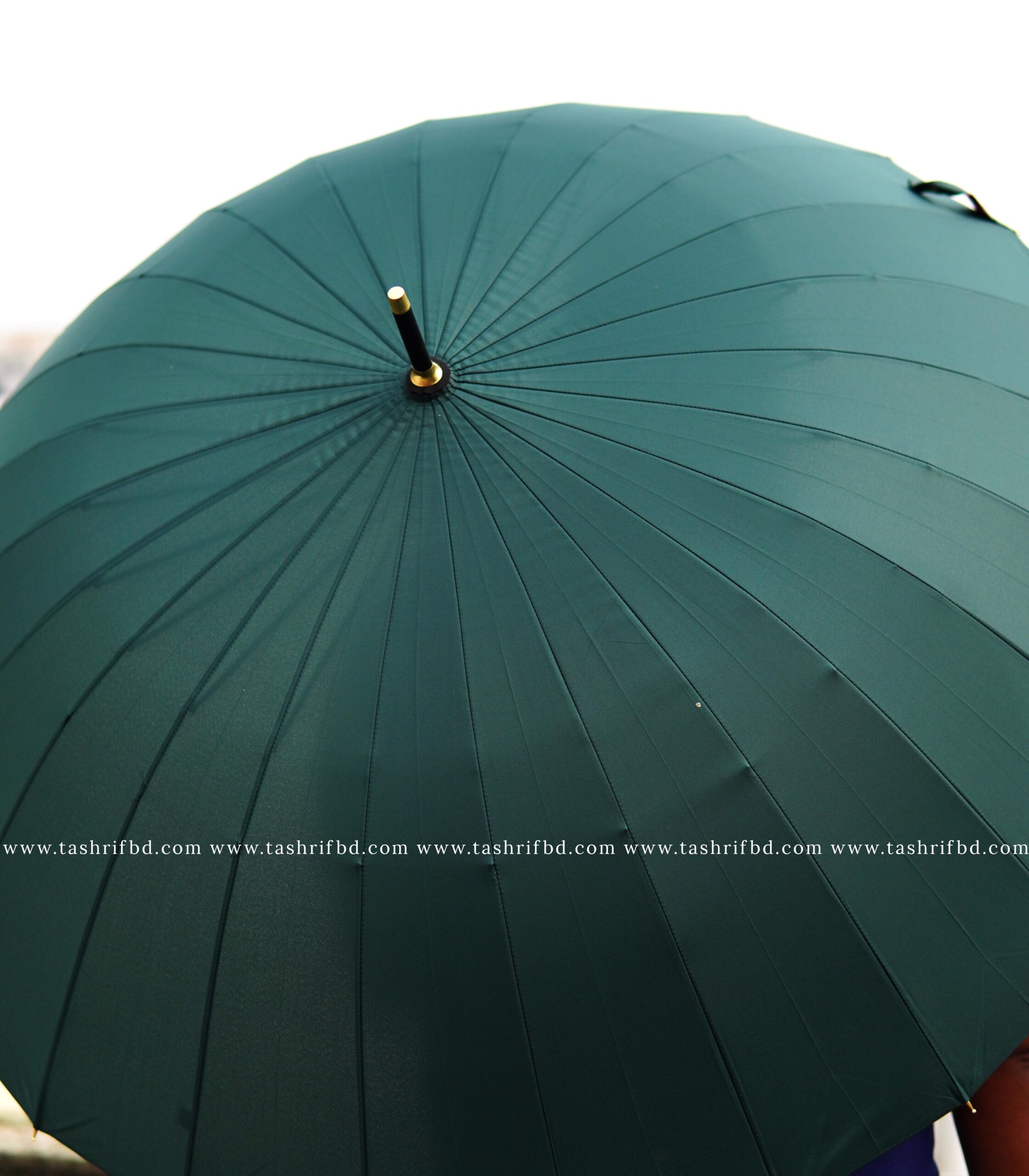 Green 1 24 Ribs Umbrella - Green - Image 1