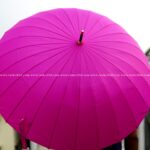 24 Ribs Umbrella - Magenta