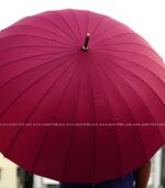 24 Ribs Umbrella - Maroon