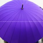 24 Ribs Umbrella - Purple