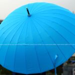 24 Ribs Umbrella - Sky Blue